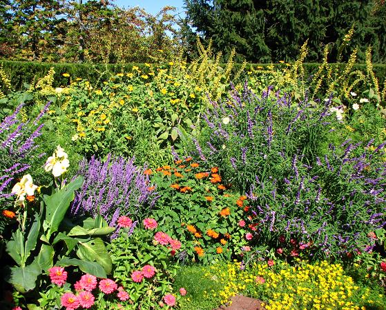 50-Circle-Garden-border.jpg